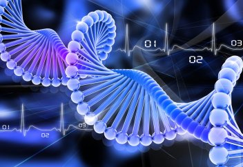 Обырдың пайда болуының негізгі себептері