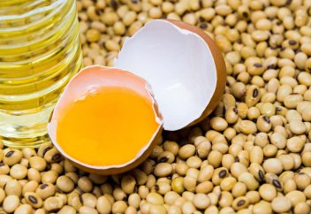 Лецитин (Е322) қосылған азық-түліктерді тұтынуға бола ма?