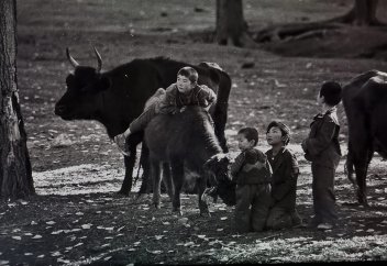 2050 жылға таяу әлемде бала туу көрсеткіші төмендейді