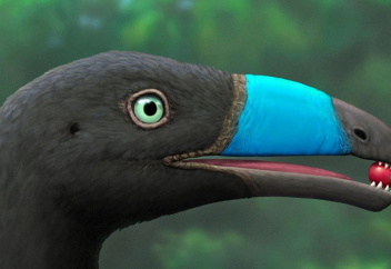 Ч. Дарвин теориясын жоққа шығаратын тағы бір айғақ табылды