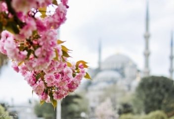 Шүкіршілікті азайтпау жөн екен...