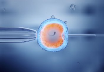 ЭКО мәселесі: Зайыбына бөтен әйелдің аналық жасушасын енгізу арқылы ұрықтандыруға бола ма?