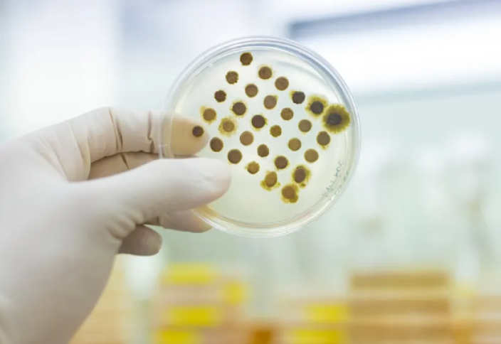 По Европе распространяется опасный грибок, поражающий пах и ягодицы