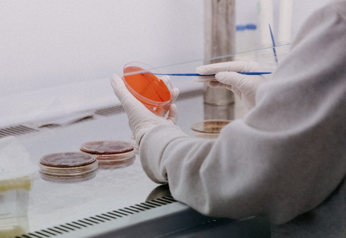 Разные на одну тему: Игра в имитацию: как искусственное мясо сохранит животных и спасет людей от голода