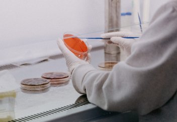 Разные на одну тему: Игра в имитацию: как искусственное мясо сохранит животных и спасет людей от голода