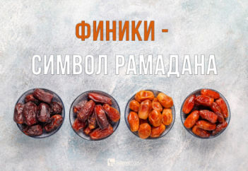 Символ Рамадана, или почему мусульмане так любят финики?