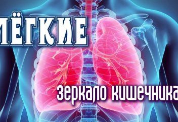 Респираторные заболевания зависят от микрофлоры кишечника. Грибок в верхних дыхательных путях: причины поражения, симптомы, лечение