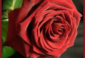 8-наурыз сыйлаған "әйел"