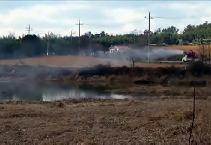 26 миллион тауық пен үйрек жойылды (Видео)