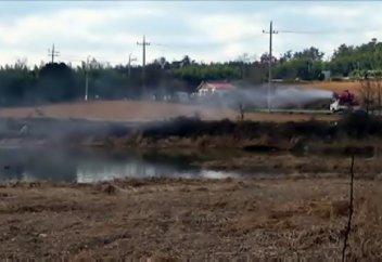 26 миллион тауық пен үйрек жойылды (Видео)