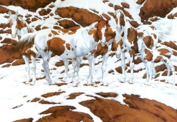 Жануарлар әлемі: Аюлар қаланы «жаулап» алды (ВИДЕО)