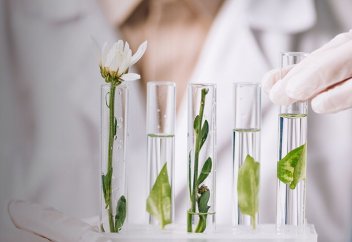 ГМО өсімдік климат дағдарысынан құтқарады