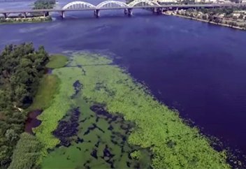 Украинцы научились добывать газ из водорослей