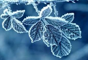 Аяздың адам ағзасына пайдасы мен зияны