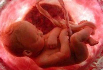 Верховный суд заявил о недопустимости оспаривания отцовства до рождения ребенка