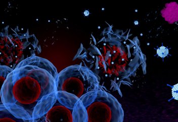 С какими вирусами мы сталкиваемся каждый день. Вирусы управляют не только обменом веществ