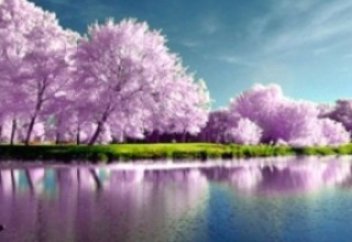 «Бұдан былай сендерге әрдайым разы болып, әсте ашуланбаймын!»