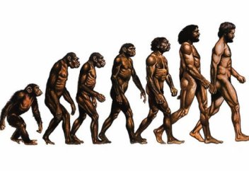 Мектеп бағдарламасынан Дарвин теориясы алынып тасталды