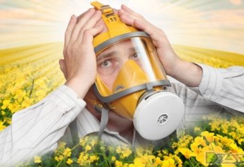 Маусымдық аллергиясы бар науқастарға коронавирус қауіпті ме?