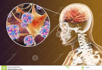 Ученые заявили, что коронавирус может поражать мозг