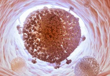 Ғалымдар адам ағзасынан вичті шығарудың жолын тапты