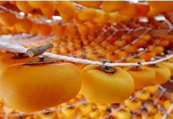 В префектуре Мияги в самом разгаре производство сушёной хурмы (видео)