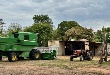Средние переселенческие фермы в районах Масвинго и Гуту в Зимбабве: что произошло с 2000 года?