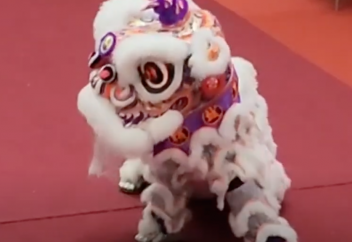 Танец льва в исполнении мусульманки вызвал бурные аплодисменты (ВИДЕО)