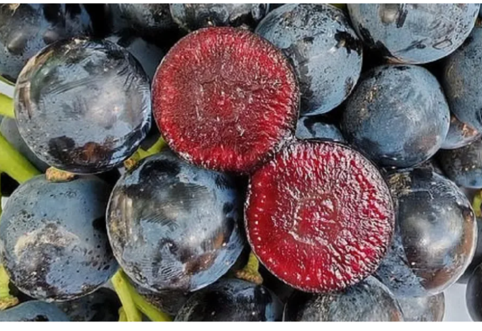 Мексикадағы жасырын камера секс демалысы