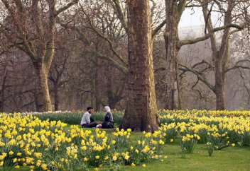 Ерлі-зайыптылар пейіште бірге бола ма?