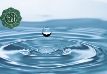 Пруд Посланника Аллаха, Да Благословит Его Аллах и Приветствует | БАРАКАТ - Мусульманский канал