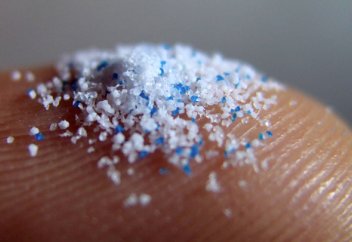 Микропластик миға да енуі мүмкін – зерттеу