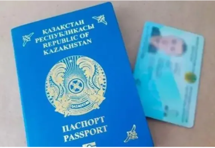 Қандай жағдайда адам ҚР азаматтығынан айырылады — Жаңа Конституция жобасы