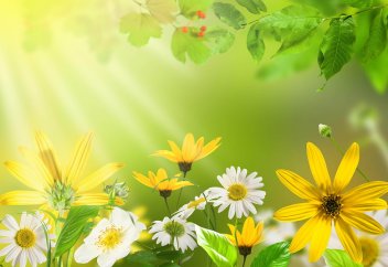 Бір ауыз сөз