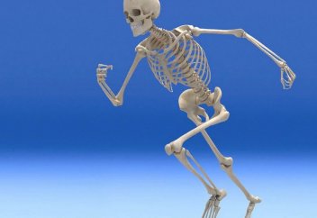 Адам сүйегін алмастыратын биоматериал табылды