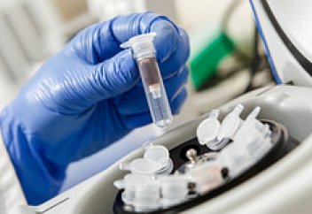 Дәріні діңгекті жасушамен жеткізу тәсілі табылды