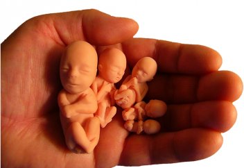 Түсік жасатудан бас тартқаны үшін қомақты ақша алуы мүмкін