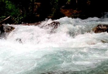 Желание продемонстрировать бесстрашие обернулось гибелью для пакистанца (Видео)