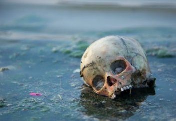 5 не самых приятных фактов об Индии: Вместо воздуха жёлтый смог, современное рабство и бедность в стране