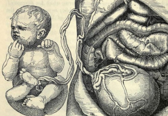 Жаңа туған сәбидің кіндігі мен "серігі" де бизнеске айналған ба?