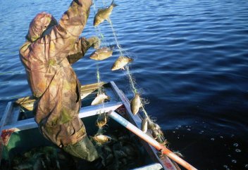 Заңға қарсы шыққаным күнә ма?