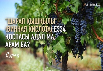 "Шарап қышқылы" (винная кислота) Е334 қоспасы адал ма, арам ба?