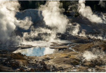 Ыстық суда өсіп, биологияның заңдылығын жоққа шығаратын тіршілік иесі анықталды (видео)