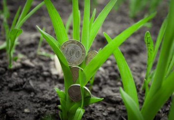 Почему в сфере земельных отношений растет коррупция?