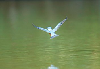 Адамзатты төніп келе жатқан апаттан құтқару үшін бай елдер жылына 700 млрд доллар бөлуі тиіс