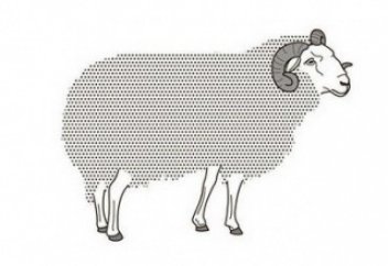 Каковы правила обращения с костями жертвенного животного?