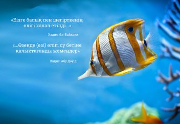 Өлген балықты жесе бола ма?