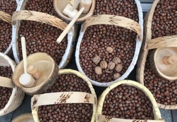 Орман жаңғағы қыруар табыс көзіне айналды