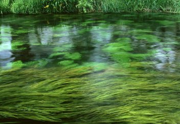Теңіз өнімдерін арттыруға қалай қол жеткізді