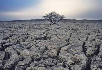 Топырақ тозып барады, құрамындағы қоректік заттардың жоғалуы жемістер мен көкөністердің сапасын төмендетеді